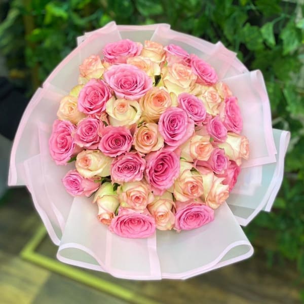 Marvelous Roses