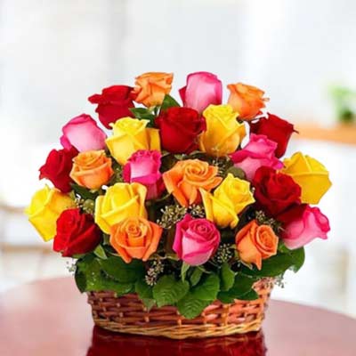 Lovely Colourful Roses