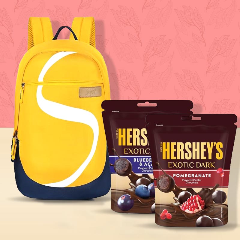 Smart Skybags Backpack Chocolate Combo